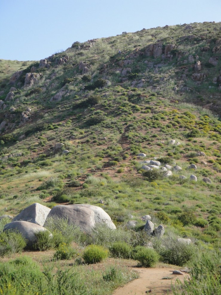 4493134045_9d94de5a66_b