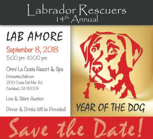 Lab Amore